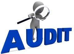 Audit Services