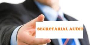 Company Secretarial Audit