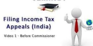 Income Tax Appeal Filling Consultant