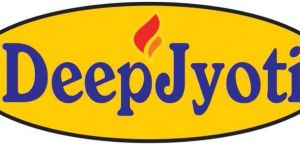 ERP Designing Services