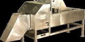 Raw Mango Cutting Machine