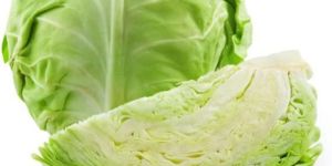 Fresh Cabbage
