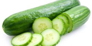 Fresh Cucumber