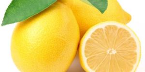 Fresh Lemon