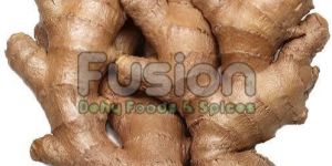 Fresh Ginger