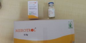 Merotrol 0.5 Gm Injection