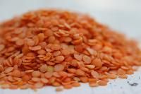 Split Red Lentil