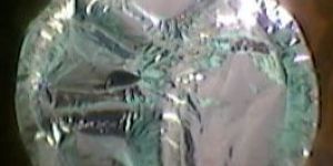 Laminated Paper Thali