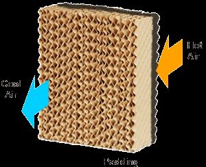 Air Coolers Pads