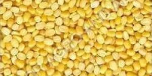 Washed Moong Dal