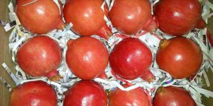 Fresh Pomegranate