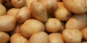 Fresh Potato