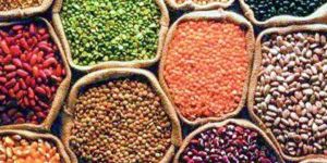Indian Pulses