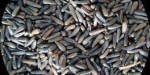 Niger Seeds