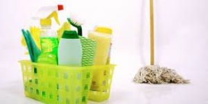 Cleaning Services