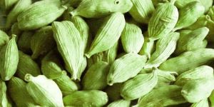 Green Cardamom