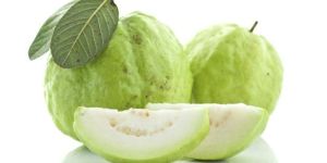 Guava