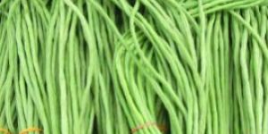 Fresh Long Beans