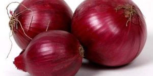 Red Onion