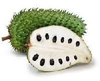 Soursop