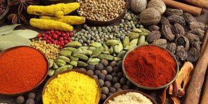 Indian Spices
