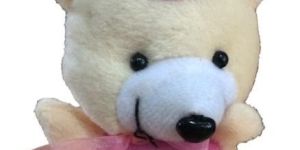 Baby Master Feeder Cover