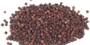 Black Pepper Seeds