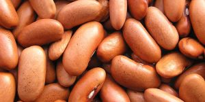 Red Kidney Beans