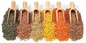Indian Pulses
