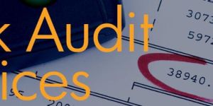 Bank Audit Services