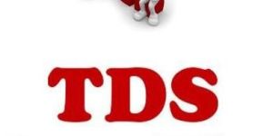 TDS Return Filing Services