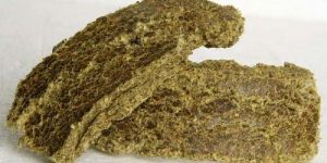 Cotton Seed Oil Cake