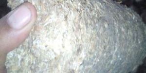 Agro Waste Briquettes