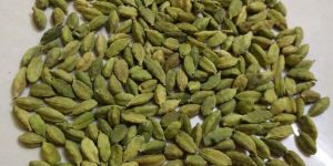 Cardamom