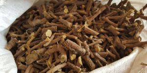 Regular Clean Licorice Roots
