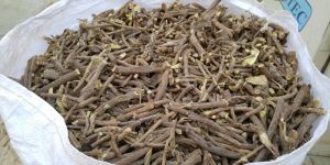 Semi Selected Licorice Roots