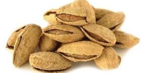 Soft Shelled Almonds