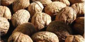 Shelled Walnuts