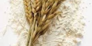 Wheat Flour
