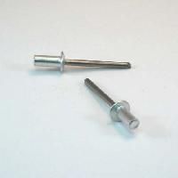 Stainless Steel Rivets