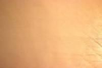 Semi Finished Leather