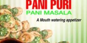 Instant Pani Puri Masala