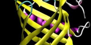 Silicon Water Repellant - Literature Hydriphobe 902