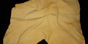 Chamois Leather