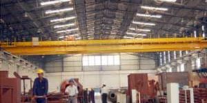 Material Lifting Cranes