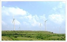 Land and Micrositing Services