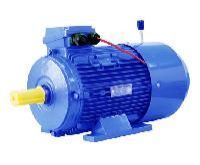 Heavy Duty Electric Motors