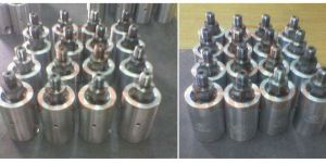 Tungsten Carbide Seal