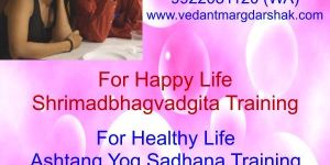 Stock Market Analysis Software