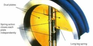 Dual Plate Check Valve